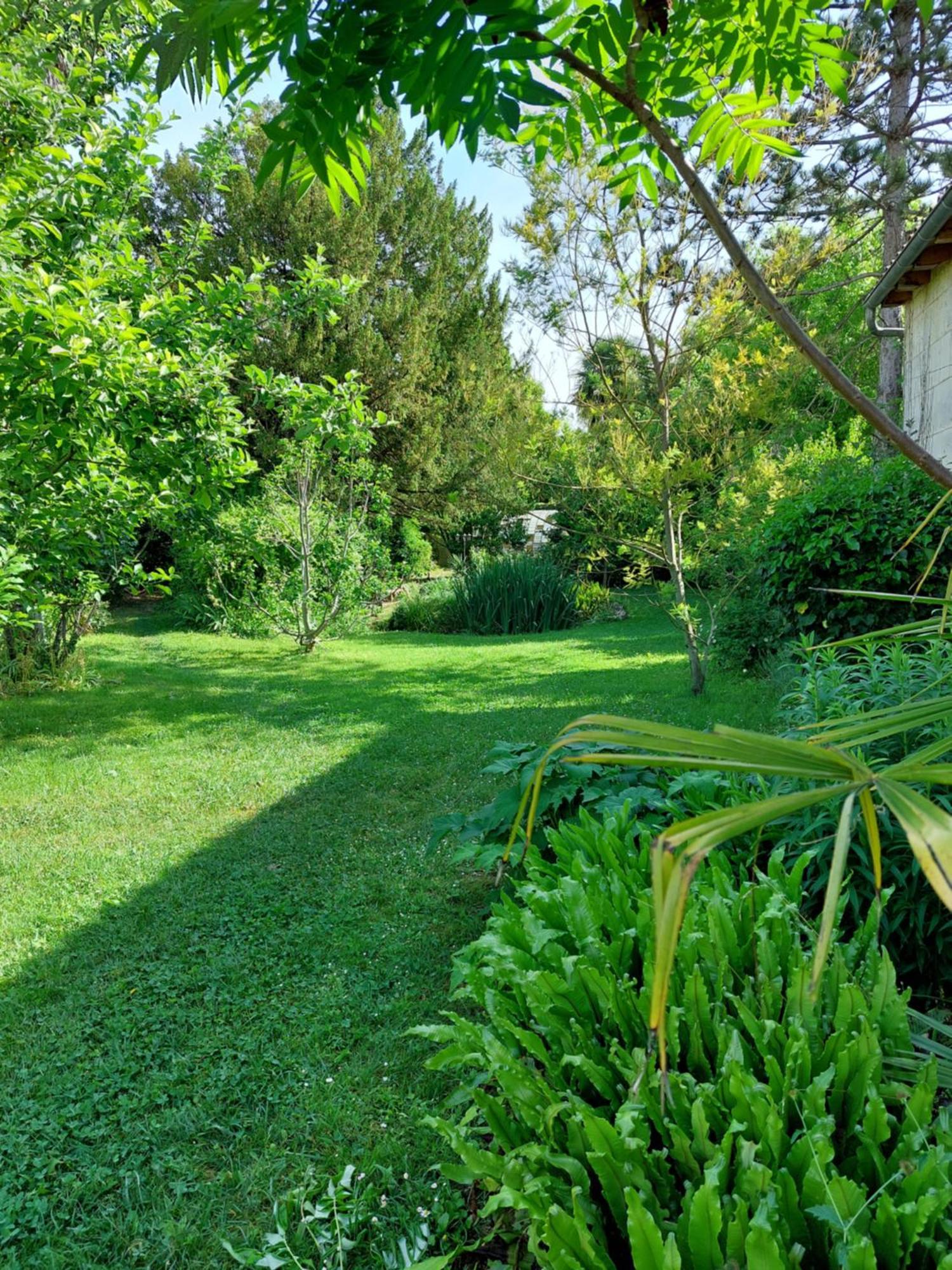 Bed and Breakfast La Gueriniere Bella Romantica Châteauneuf-sur-Charente Exterior foto